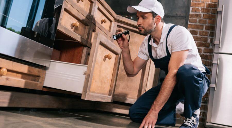 Professional Dallas Pest Control services in Dallas